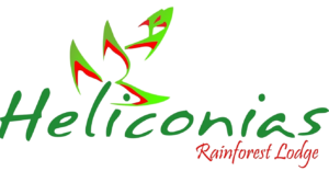 logo heliconia png 300x156 logo heliconia png 300x156