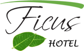ficus general1 ficus general1
